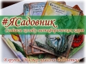 Игра #ЯСадовник