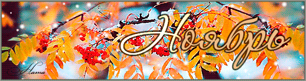 Афиша мероприятий на ноябрь