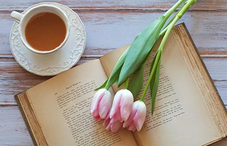 Неделя возвращенной книги