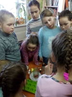 Библионочь в библиотеке №11