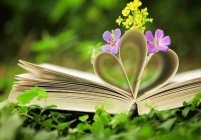 Старт в книжное лето