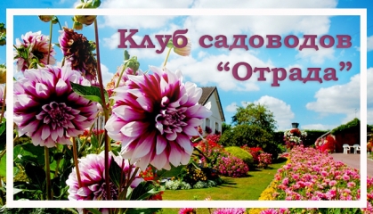 Клуб садоводов «Отрада» в библиотеке № 3 Семейного чтения