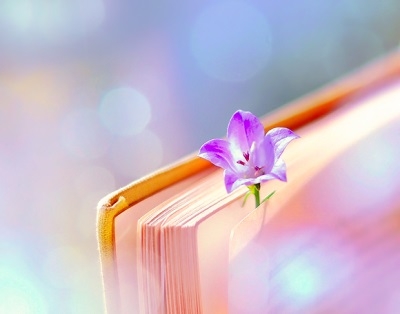 акция «Неделя возвращенной книги»